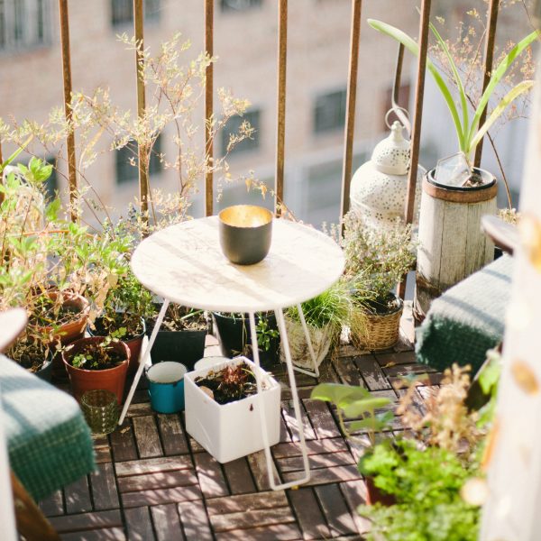 top-10-des-legumes-a-planter-dans-un-espace-restreint