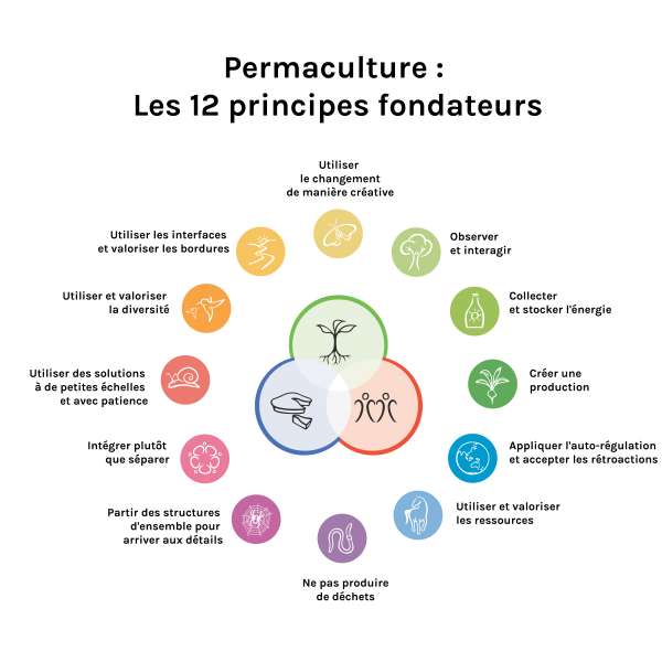 schema permaculture principe