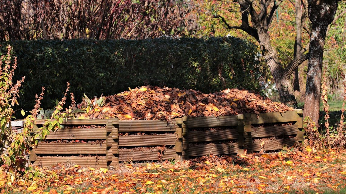 5-choses-a-ne-jamais-mettre-dans-votre-bac-de-compostage