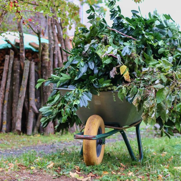 choisir-une-brouette-de-jardinage