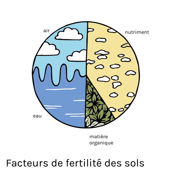 facteurs-de-fertilite-des-sols
