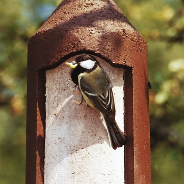 idees-cadeaux-pour-les-amoureux-de-jardinage