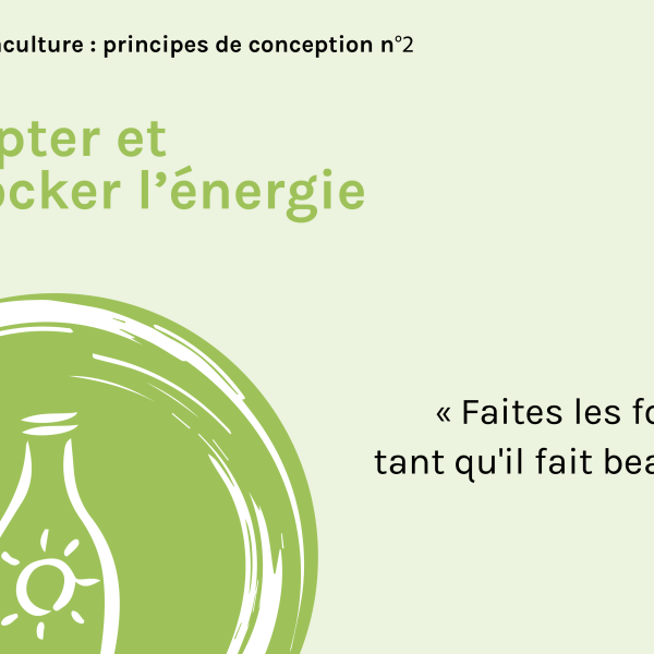 principes-permaculture-02-capter-et-stocker-lenergie