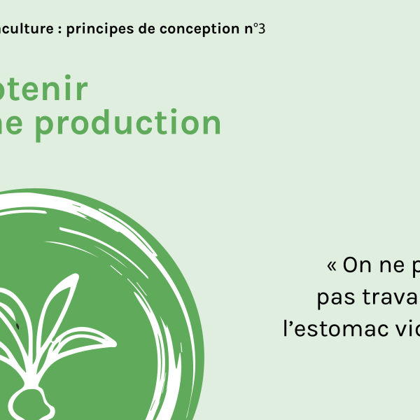 principes-permaculture-03-obtenir-une-production