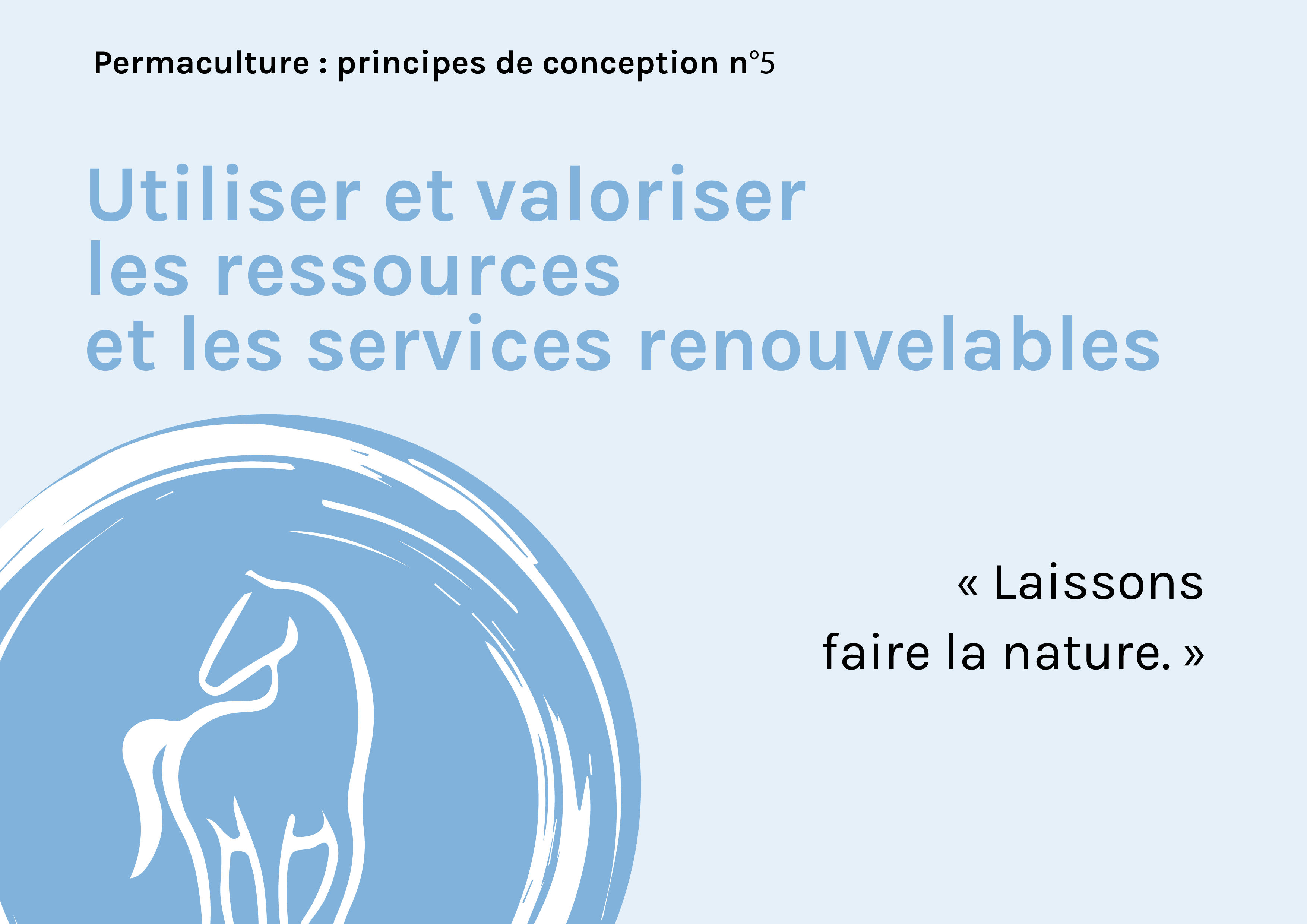 principes-permaculture-05-utiliser-et-valoriser-les-ressources-et-les-services-renouvelables