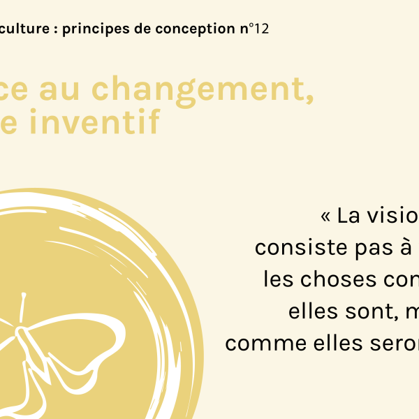 principes-permaculture-12-face-au-changement-etre-inventif-12