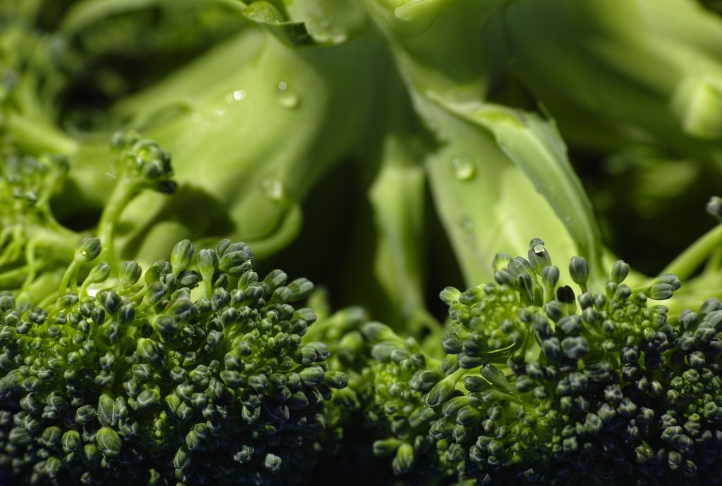 10-legumes-a-faire-pousser-pendant-lhiver-broccoli-