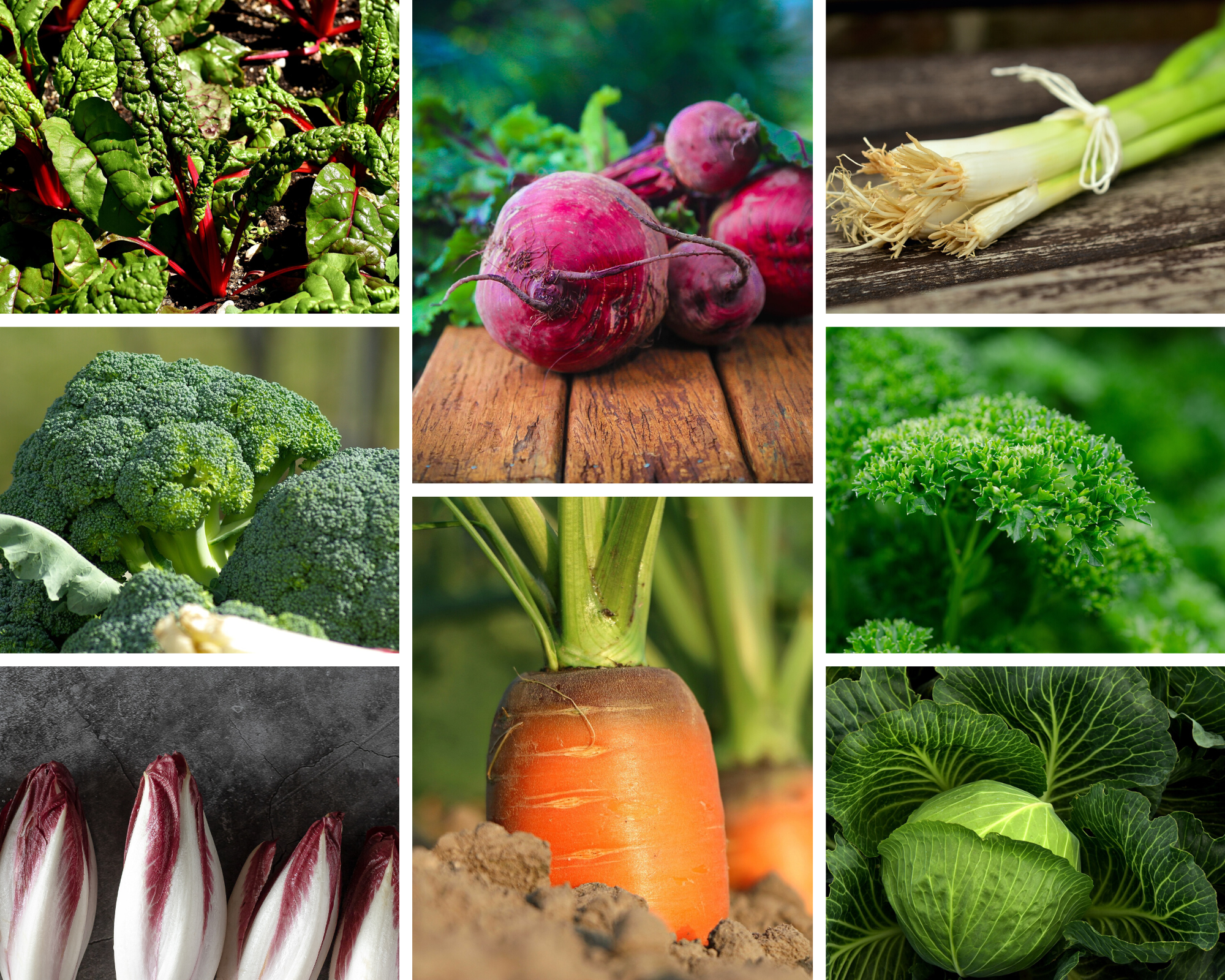 7 façons de tailler les légumes d'hiver