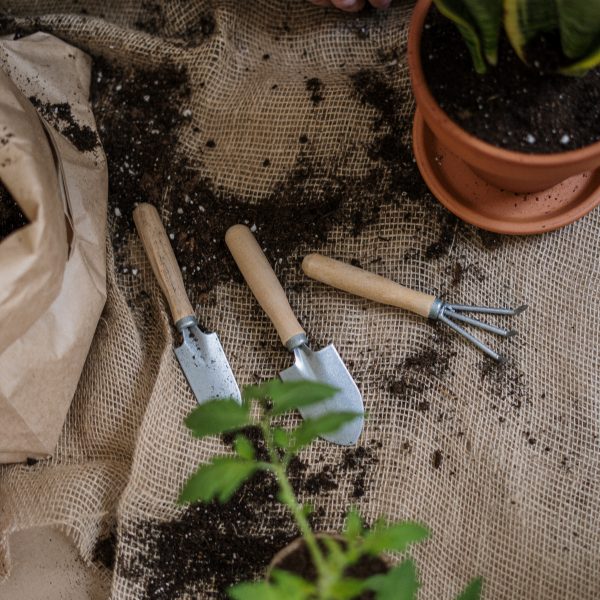 5-bonnes-resolutions-a-adopter-au-jardin
