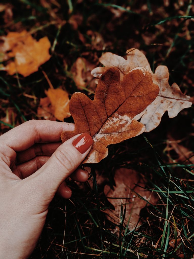 comment-faire-du-compost-a-partir-de-feuilles-mortes