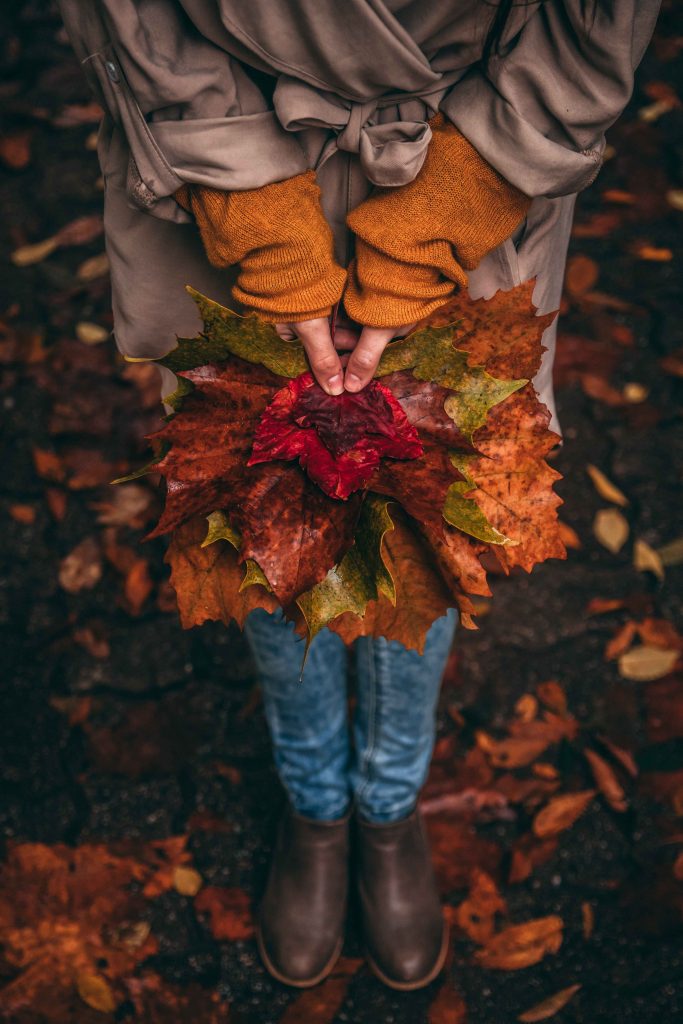 comment-faire-du-compost-a-partir-de-feuilles-mortes