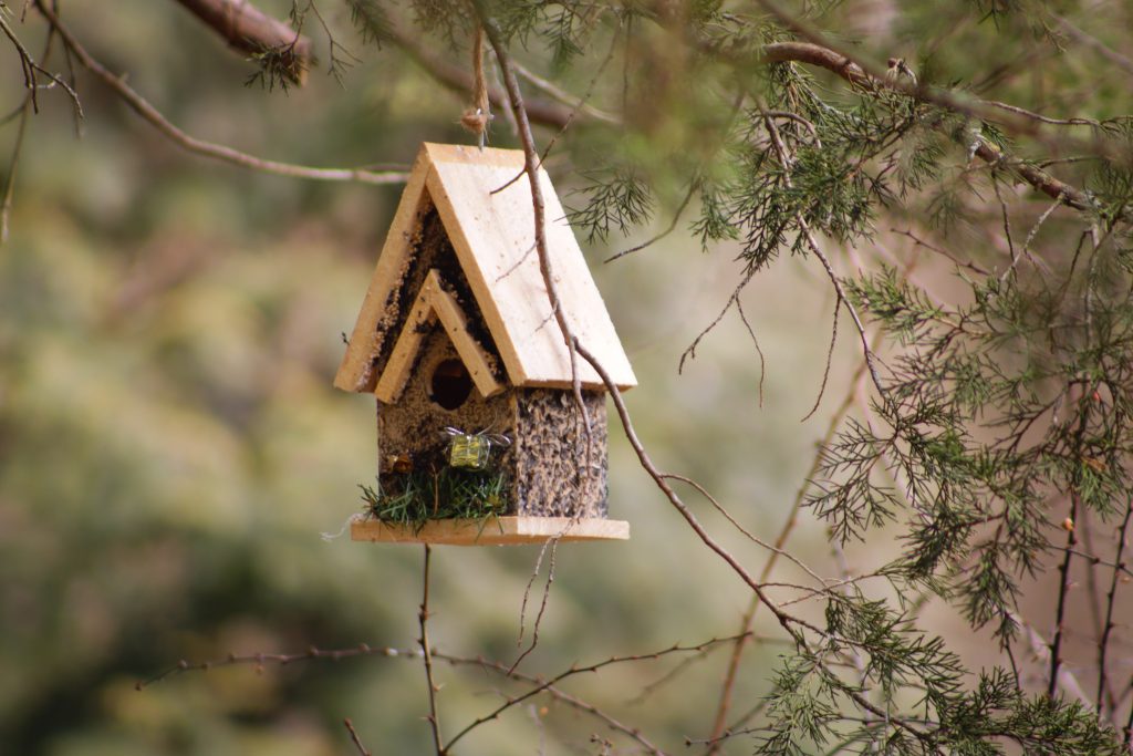 COMMENT AMÉNAGER SON JARDIN POUR LA FAUNE SAUVAGE  Ajoutez des nichoirs à oiseaux 