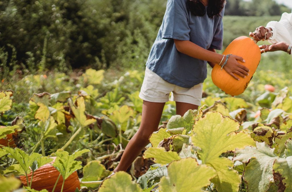 comment-conserver-les-courges-durant-lhiver5
