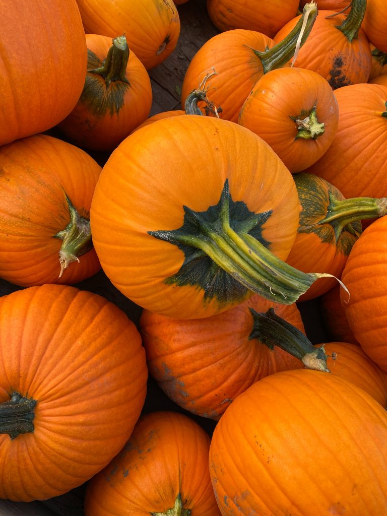 courges