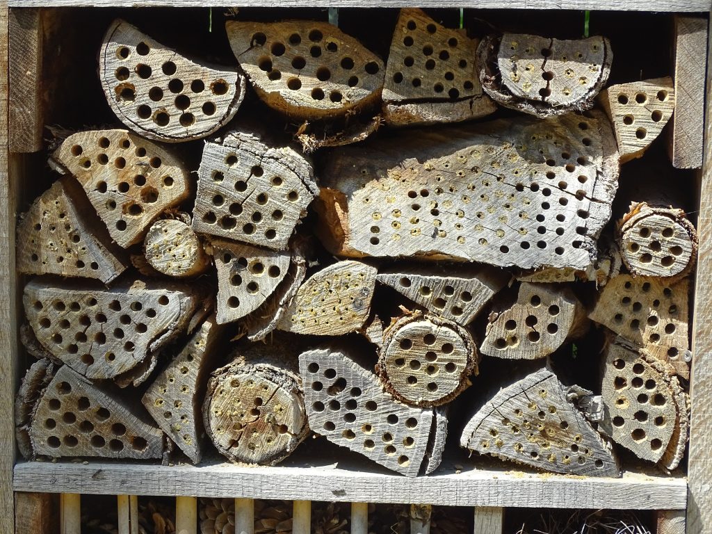 COMMENT AMÉNAGER SON JARDIN POUR LA FAUNE SAUVAGE