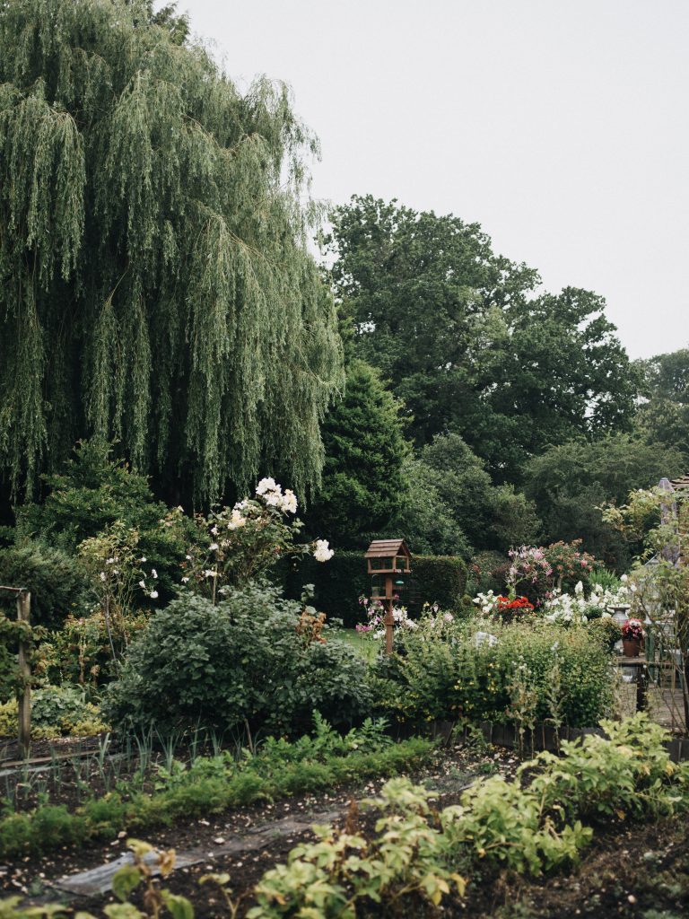 créer un jardin respectueux de la faune sauvage