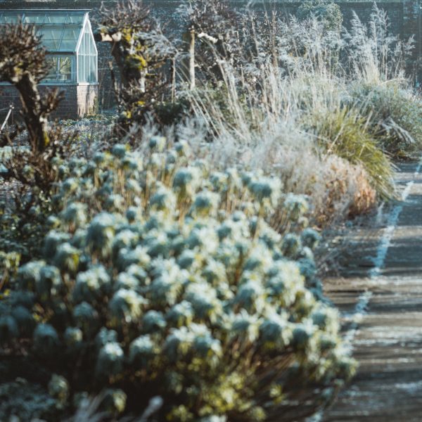 idees-pour-profiter-de-votre-exterieur-en-hiver