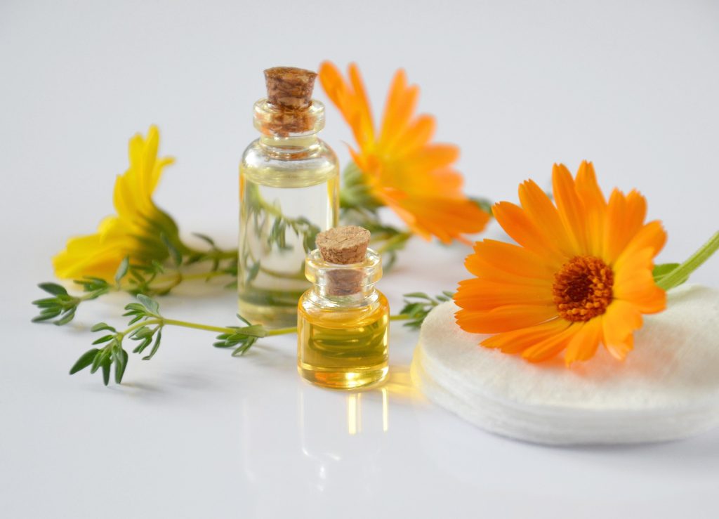le-calendula-une-plante-merveilleuse-mutliples-proprietes-medicinales-2
