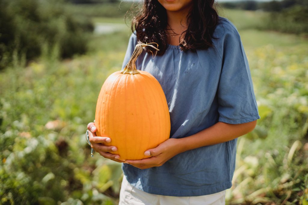 quand-recolter-les-courges-dhiver