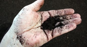 Bien utiliser son compost
