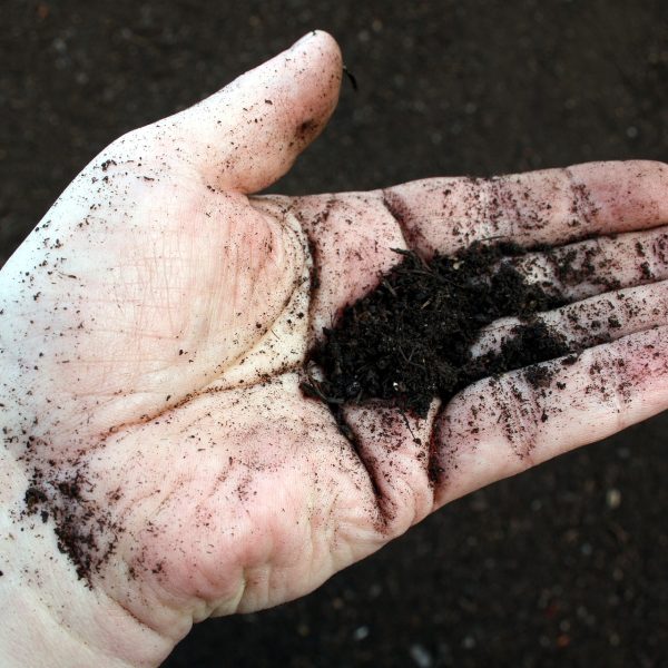 Bien utiliser son compost