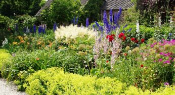 Le jardin en lasagnes : une méthode écolo et productive