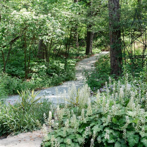 cest-quoi-un-jardin-ecologique
