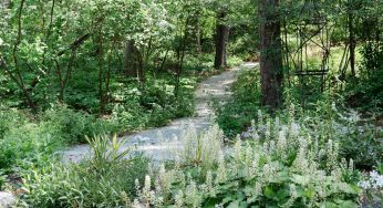 C’est quoi un jardin écologique ?