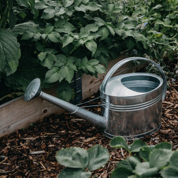 economie-circulaire-recyclons-urine-au-jardin