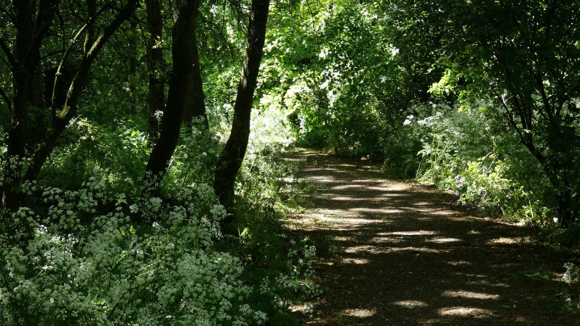 histoire-des-jardins-forets-un-systeme-de-culture-millenaire