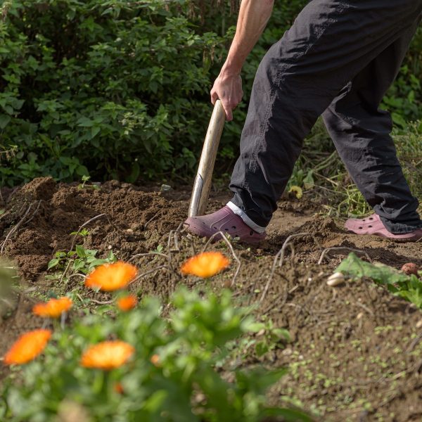jardiner-sans-labour-techniques-et-outils-pour-un-jardinage-durable