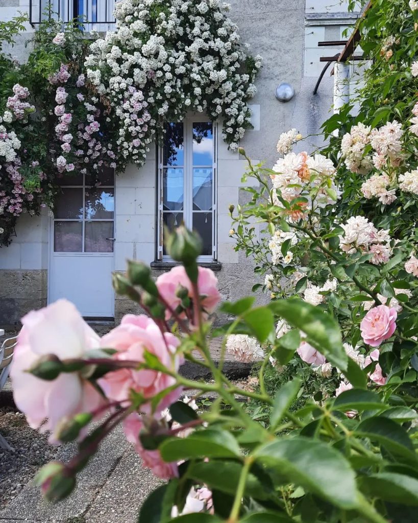 le-village-de-roses-a-chedigny-une-merveille-botanique