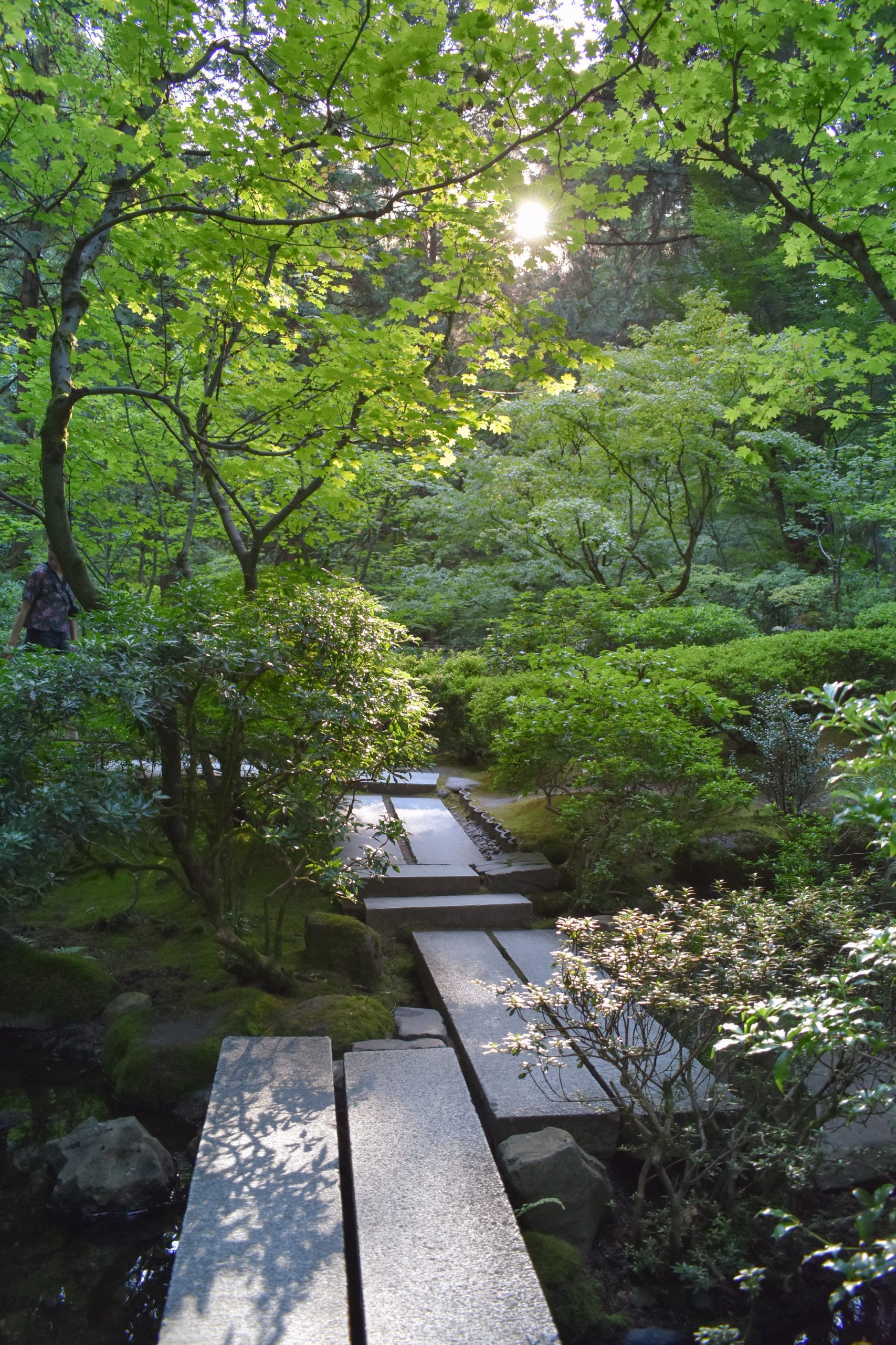 les-jardins-japonais-harmonie-et-esthetique