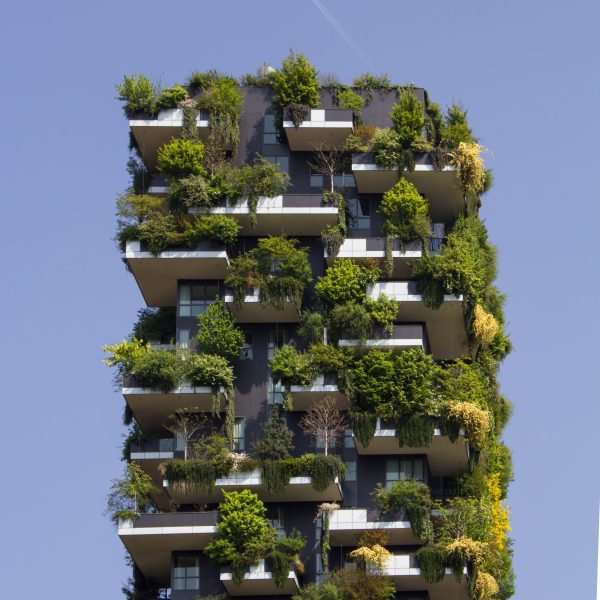 protection-de-la-biodiversite-que-font-les-municipalites