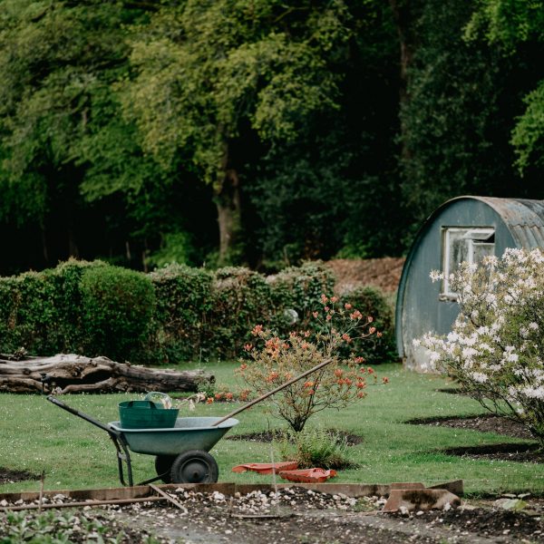 decouvrir-le-jardinage-6-facons-apprendre-a-jardiner
