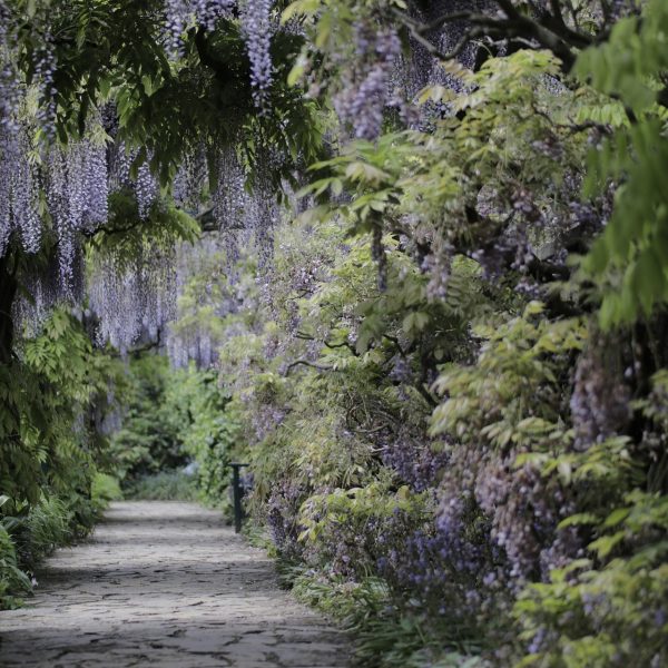 le-printemps-est-la-mais-attention-aux-gelees