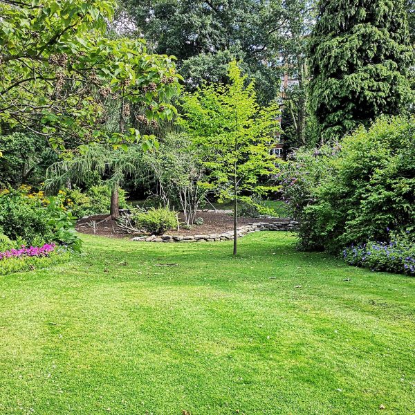 les-deux-cles-du-succes-avec-la-pelouse