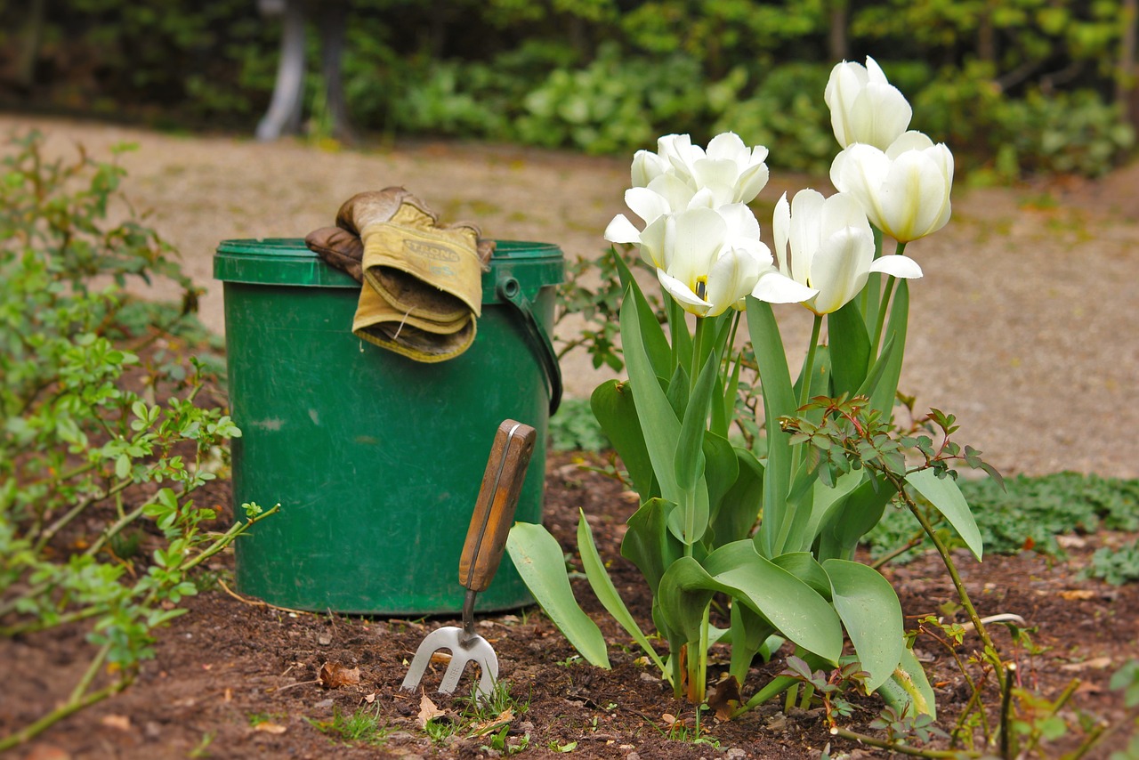 planter-des-tulipes-dans-son-jardin-conseils-et-astuces