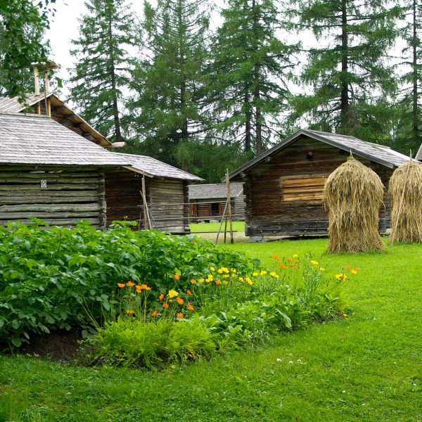 potager-perpetuel-en-permaculture