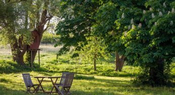 Pourquoi avoir un jardin ?