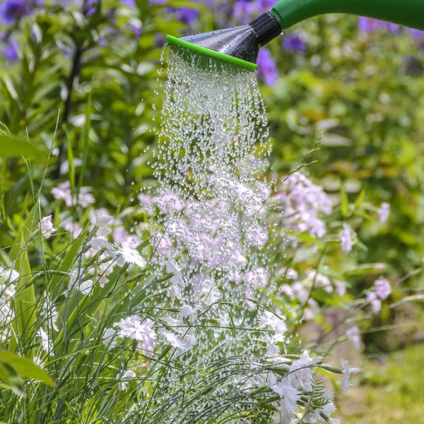 recettes-dengrais-simples-et-efficaces-pour-votre-jardin