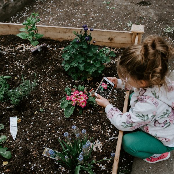 le-jardinage-comme-outil-dapprentissage-pour-les-enfants