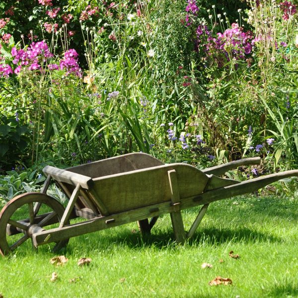 slow-gardening-une-approche-plus-relaxante-du-jardinage