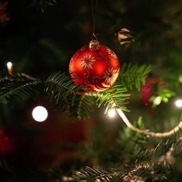 10-resolutions-pour-un-jardin-naturel-en-2024