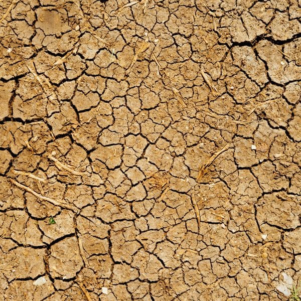 Journée mondiale de lutte contre la désertification et la sécheresse