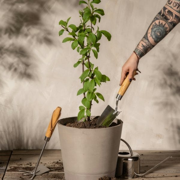 journee-de-la-terre-un-autre-regard-sur-nos-jardins