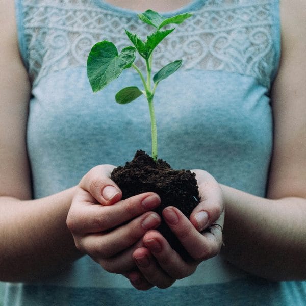 la Journée de la Terre