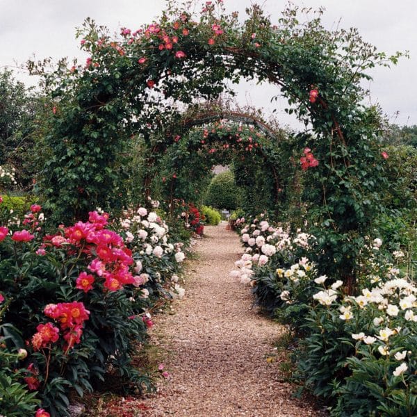 anticiper-experience-olfactive-du-jardin