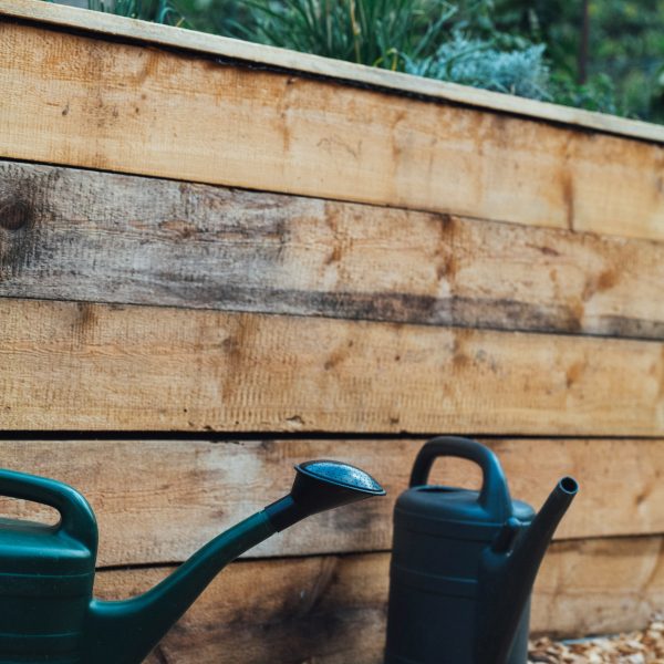 10 façons d'économiser de l'eau au jardin