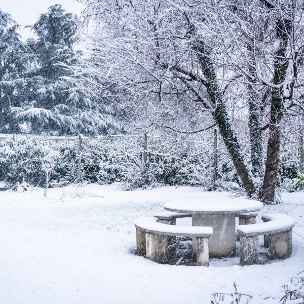 que-faire-en-janvier-au-jardin